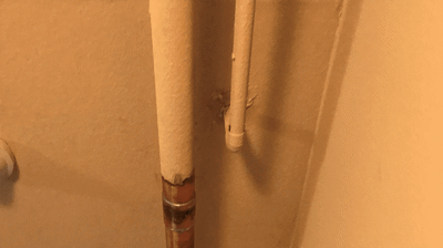 Large copper water line repair Photo